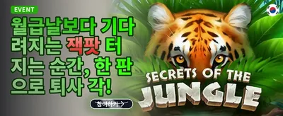 신규 가입자 100% 웰컴 보너스 promotion